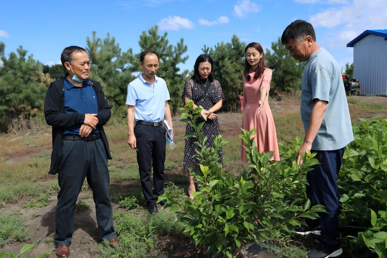 克山县:党委联系服务专家 厚植创新创业沃土_央广网