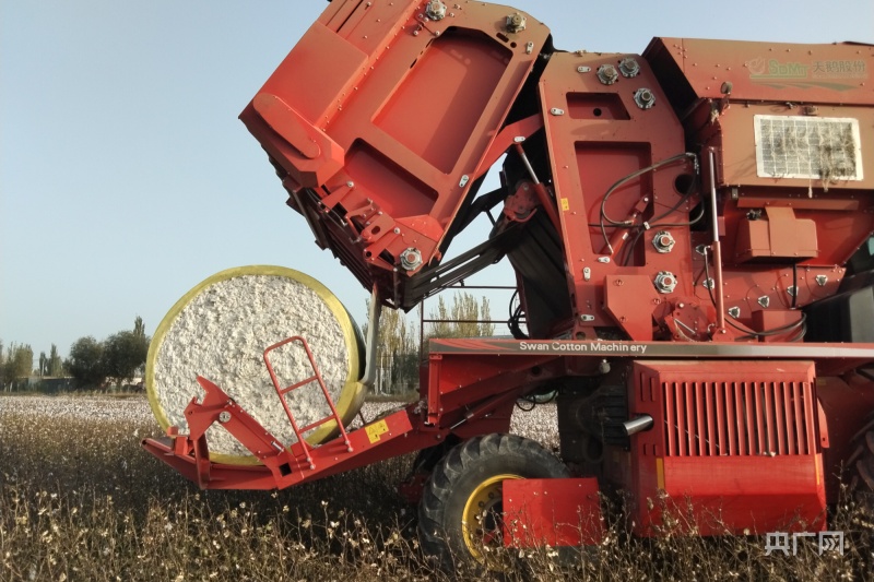 棉花采收过半 机械采摘助力丰产丰收