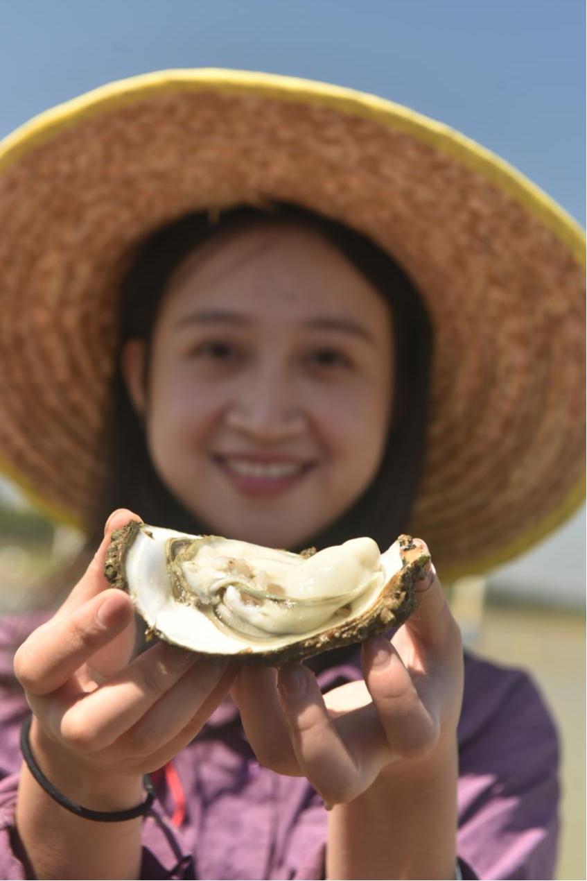 广西钦州大蚝迎来丰收季 吃货们的"蚝"门盛宴来袭_央广网