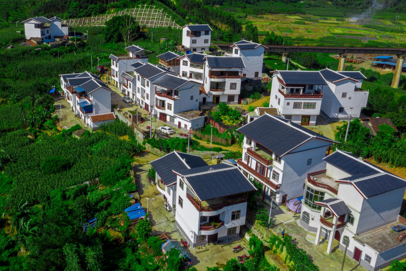 广西田林:中央彩票公益金项目助力乡村振兴_央广网