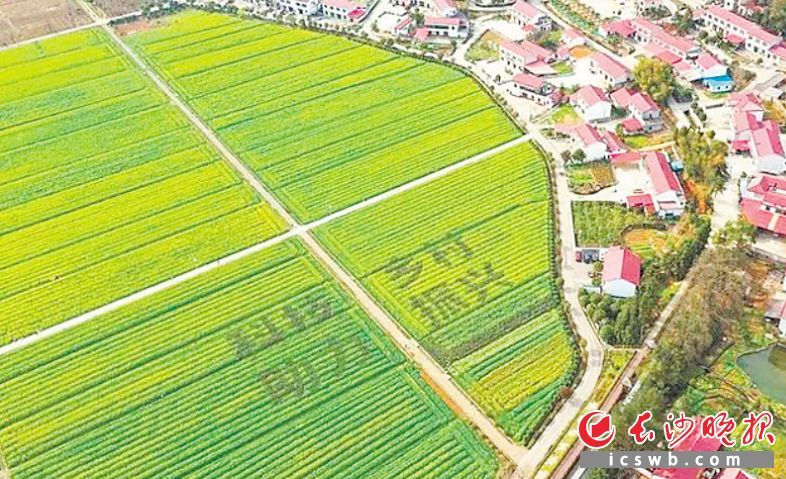 长沙两个村入选2022中国美丽休闲乡村开云 开云体育平台