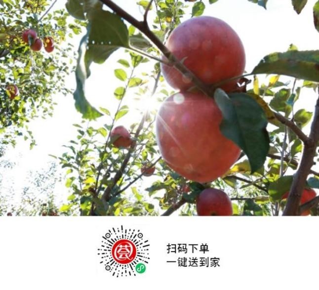 申博太阳城国际官方网站云遇中国丨一口脆甜一场味觉盛宴