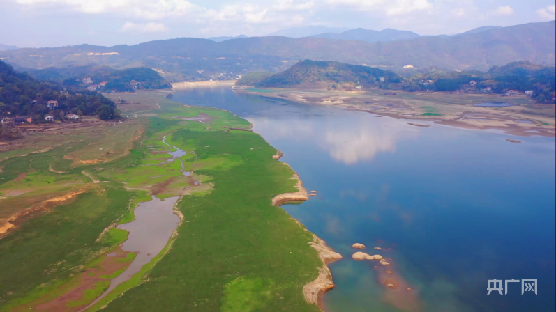 新化湿地公园图片