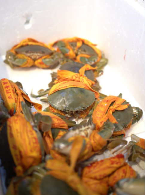 论吃，海蟹湖蟹，据说都不如它！