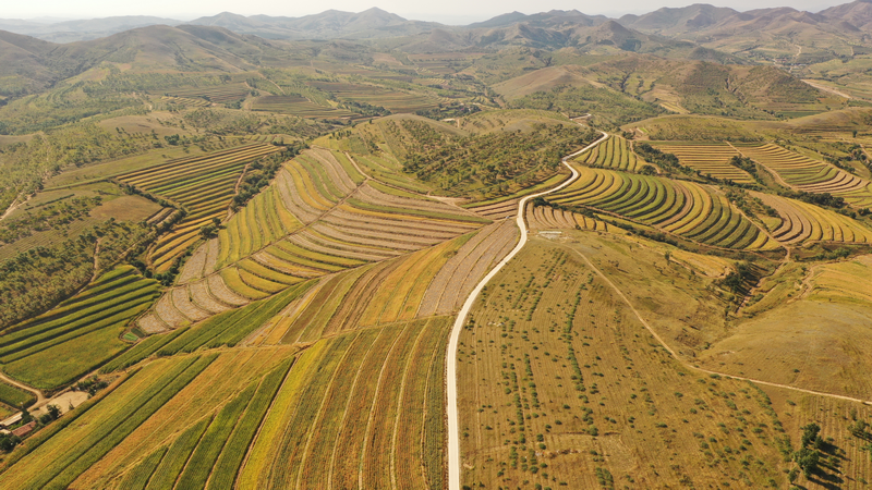 内蒙古敖汉旗高标准农田绘就乡村振兴画卷_央广网