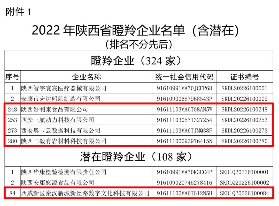 西安瞪羚企业图片