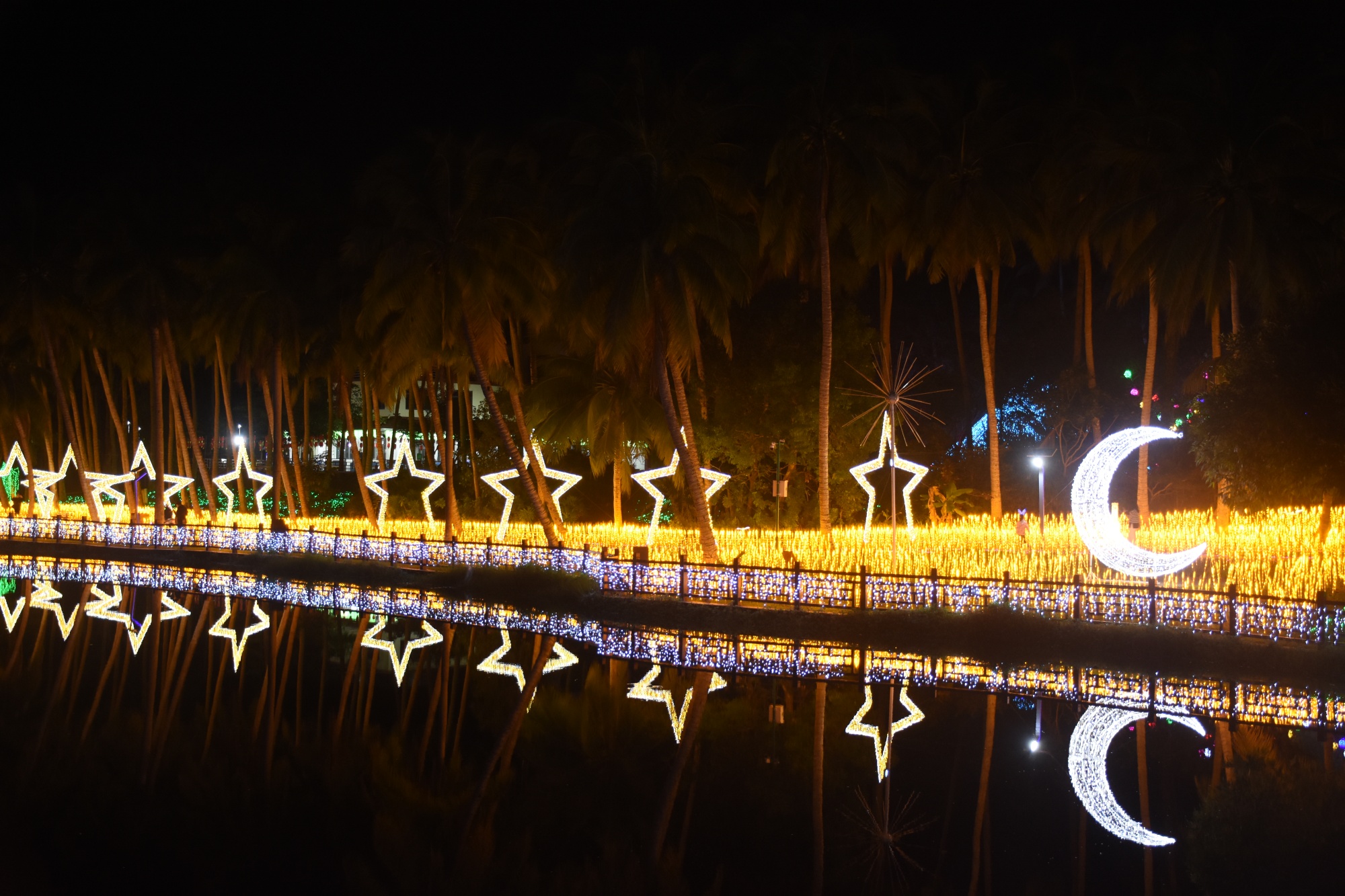 海南文昌奇幻光影艺术亮相椰子大观园