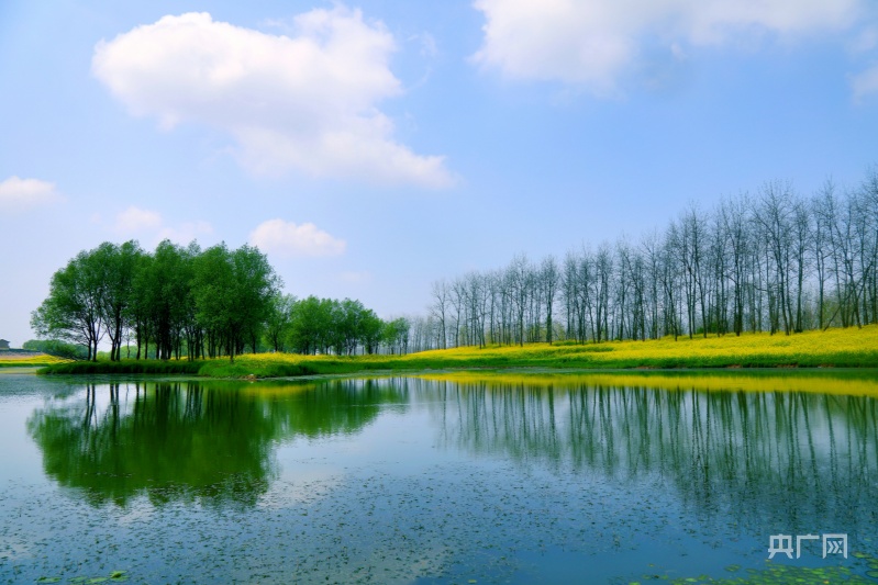 沅江:洞庭天下水,"沅"来就很美_央广网