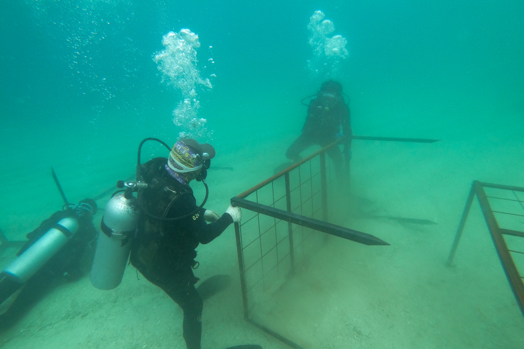 分界洲岛海域投放200立方米复合生物礁