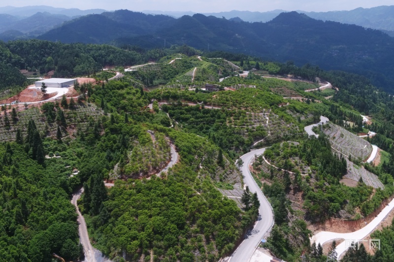 贵州省黔东南州首笔林权抵押贷款在剑河县发放