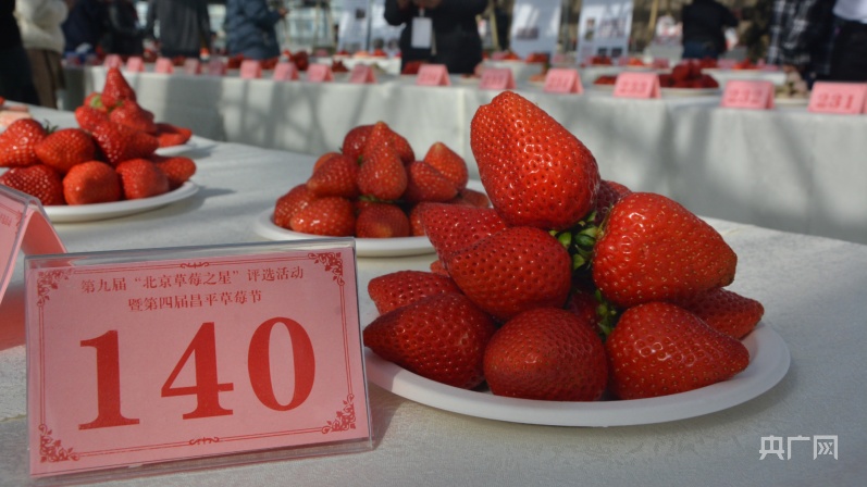 第九届“北京草莓之星”评选暨第四届昌平草莓节举行