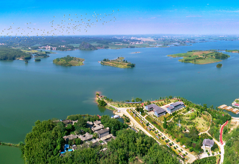 广西横州市文旅市场回暖迎春_央广网