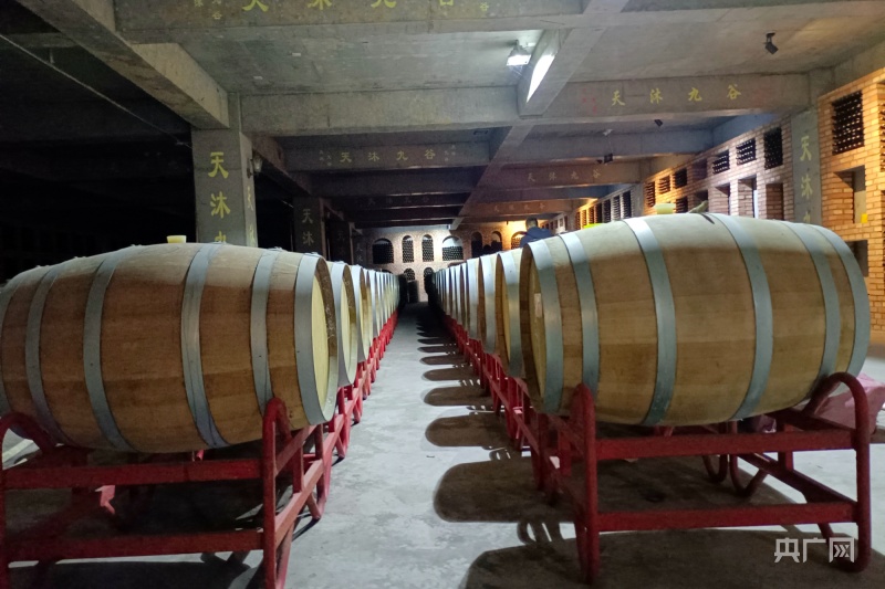 新疆客商青睐一四四团葡萄酒产业