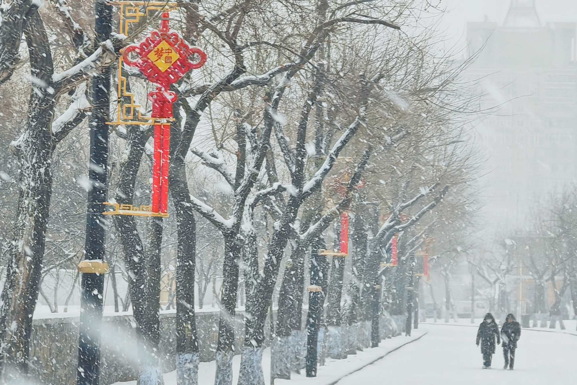 哈尔滨下雪图片真实图片