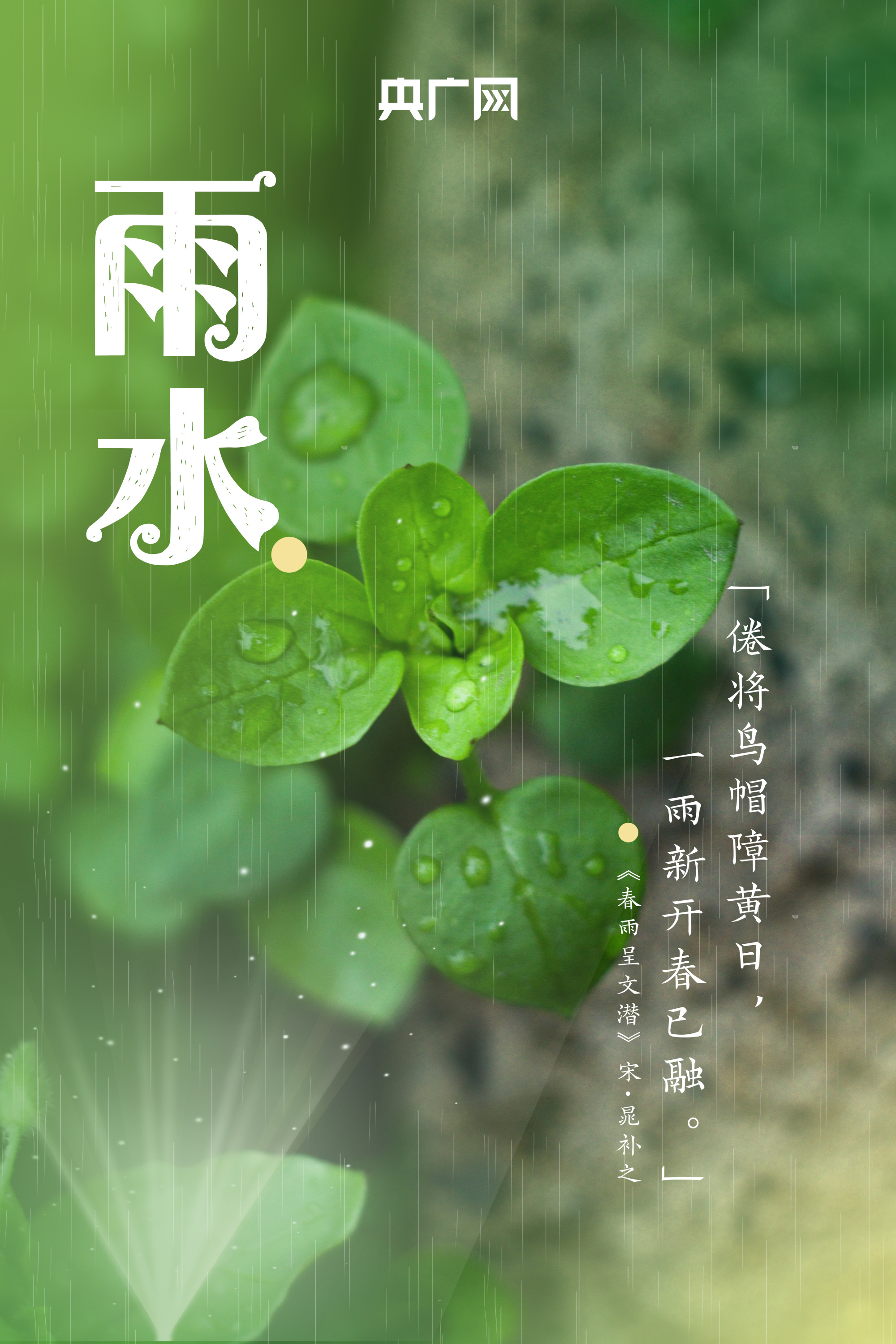 雨水节气美图图片