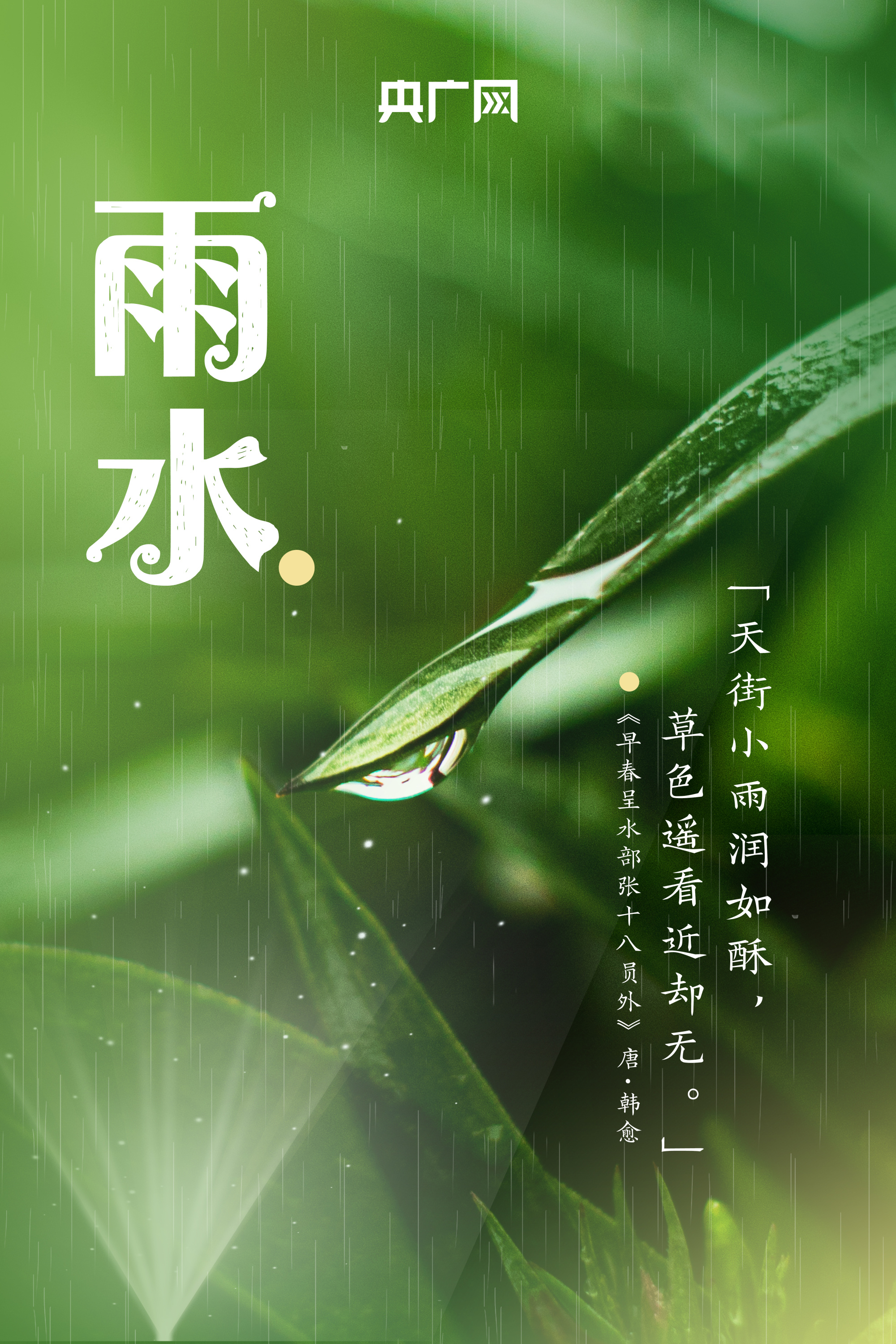 海报|用武汉初春之美打开雨水节气_央广网