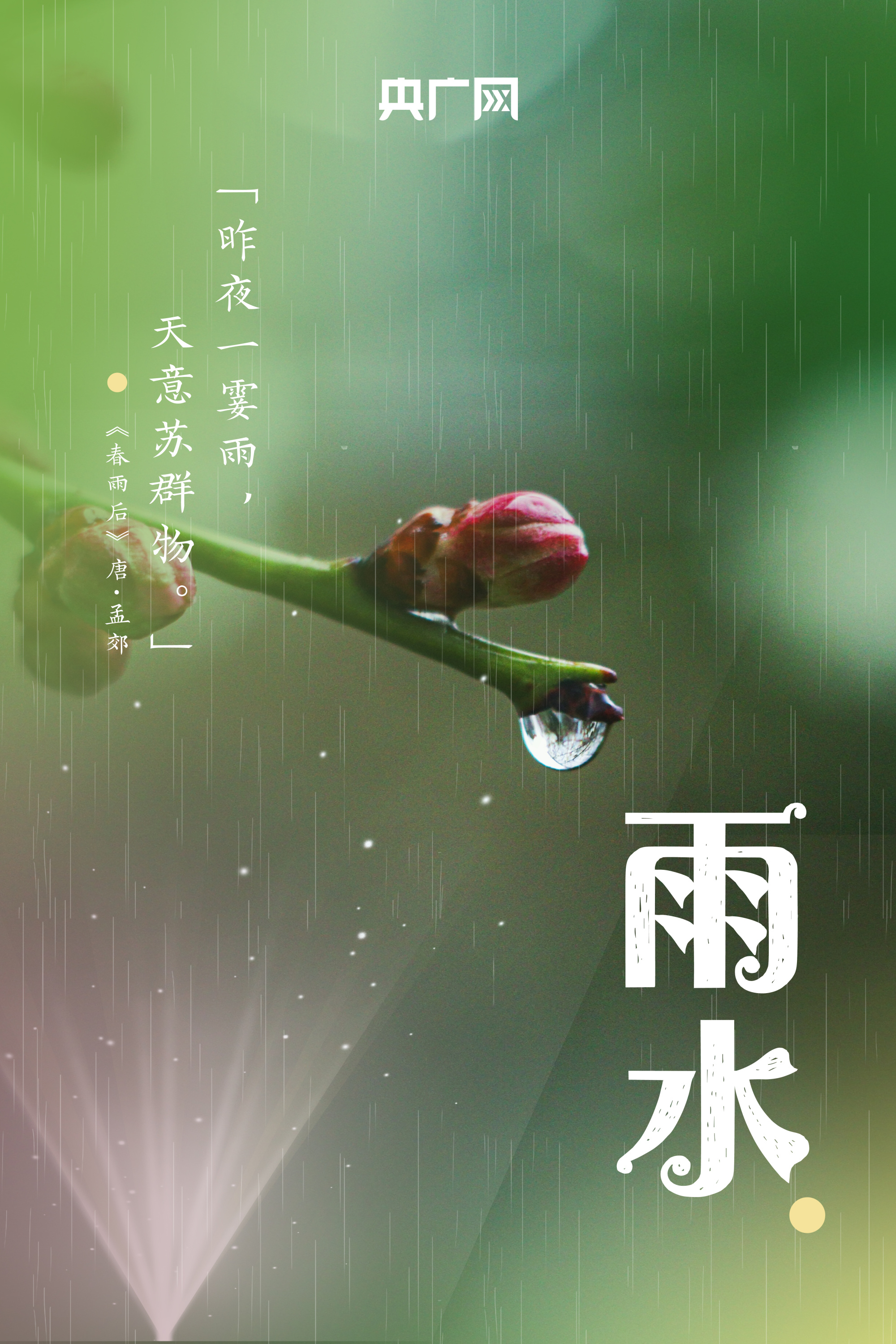 2022年雨水祝福图片图片