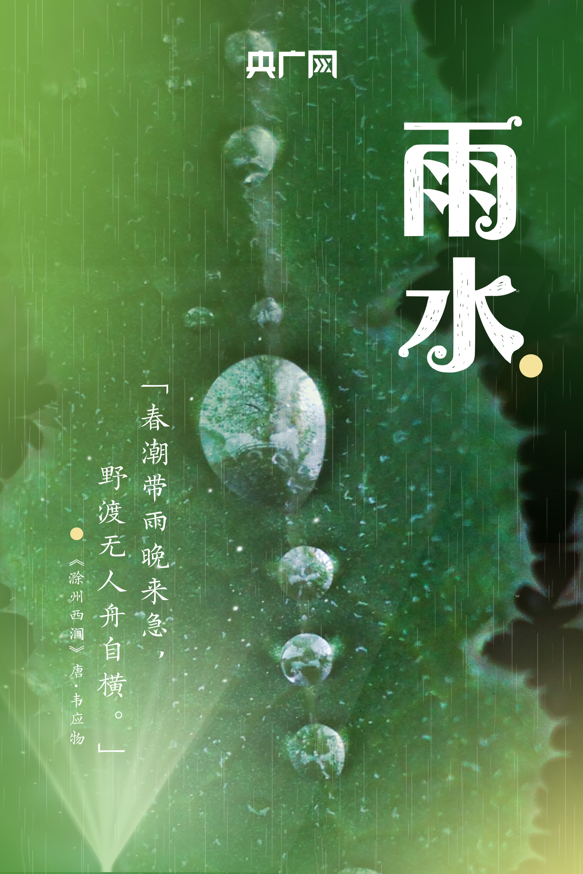 雨水节气借势海报图片