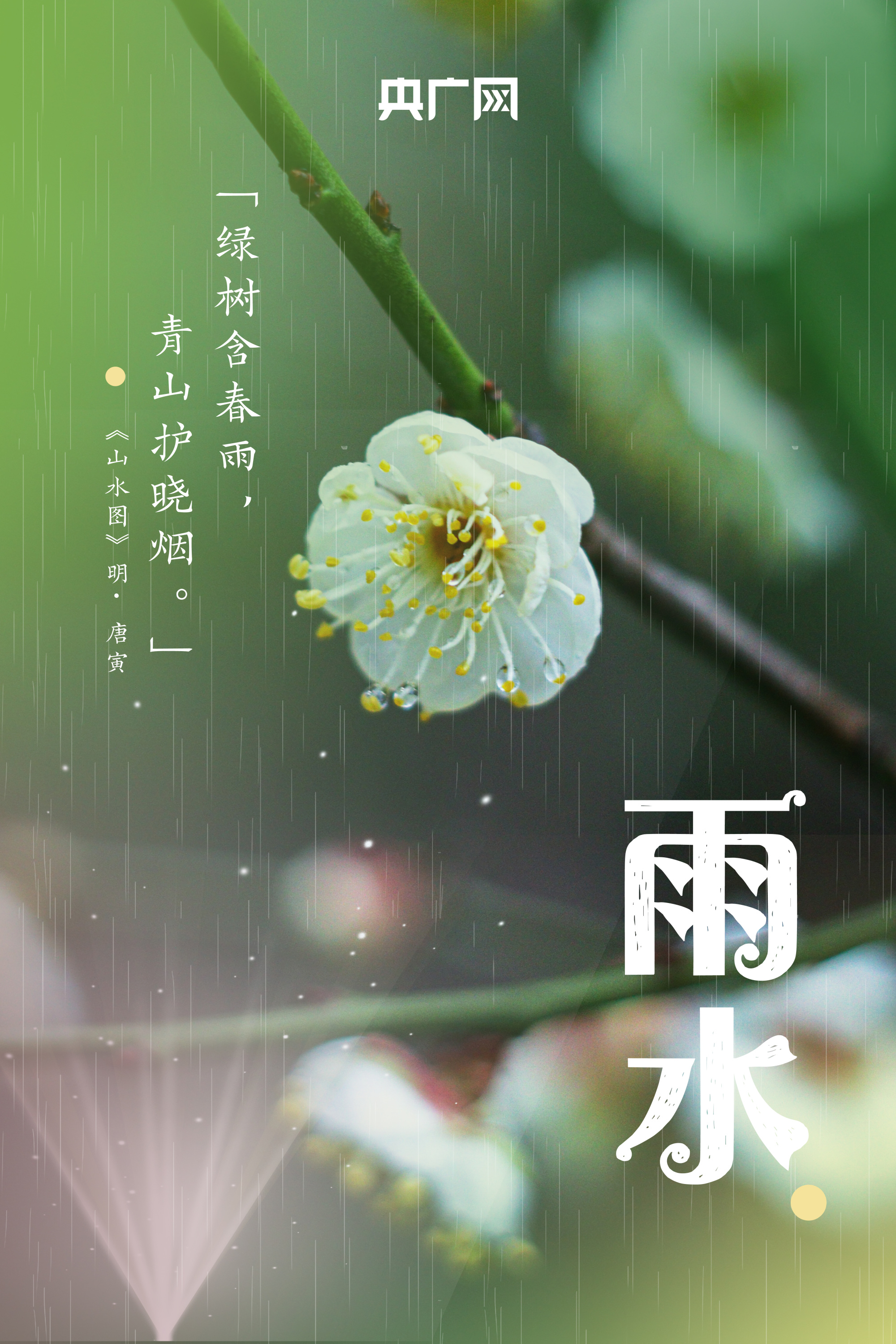 海报|用武汉初春之美打开雨水节气_央广网