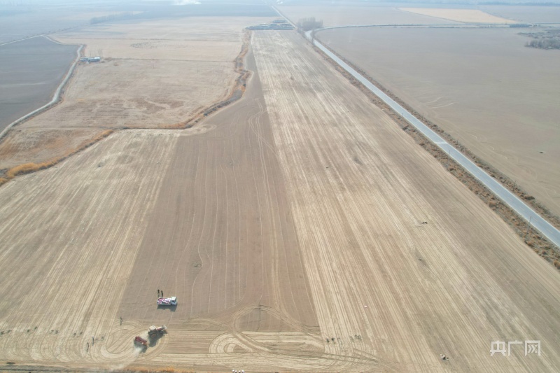 新疆巴州和硕县5万亩春小麦开播