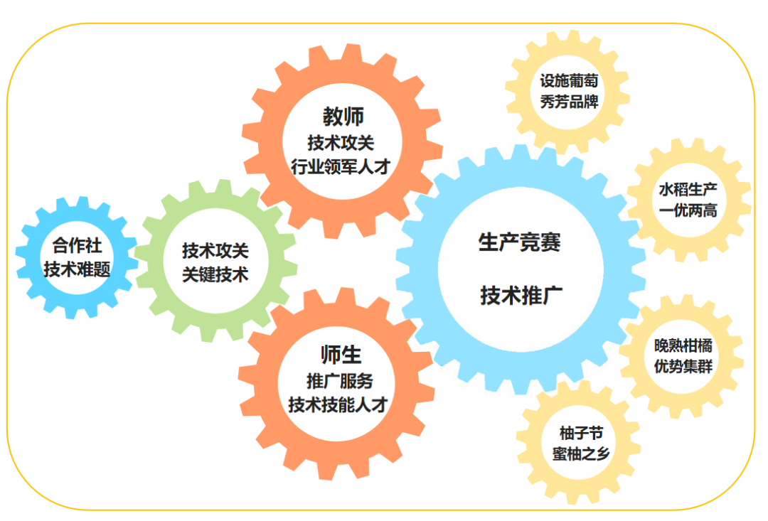 优质服务典型经验案例_典型案例经验材料_典型案例优质经验服务怎么写