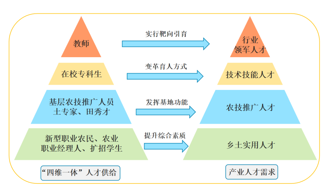 典型案例优质经验服务怎么写_典型案例经验材料_优质服务典型经验案例