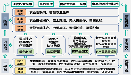 典型案例经验材料_典型案例优质经验服务怎么写_优质服务典型经验案例