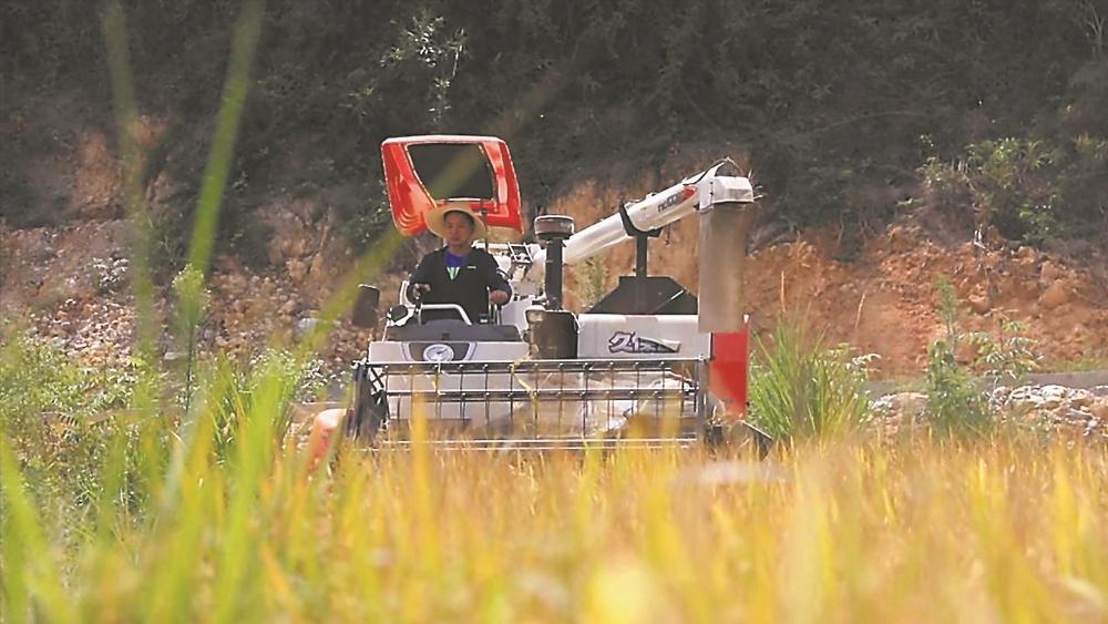 三明尤溪：新农人带动农业机械化
