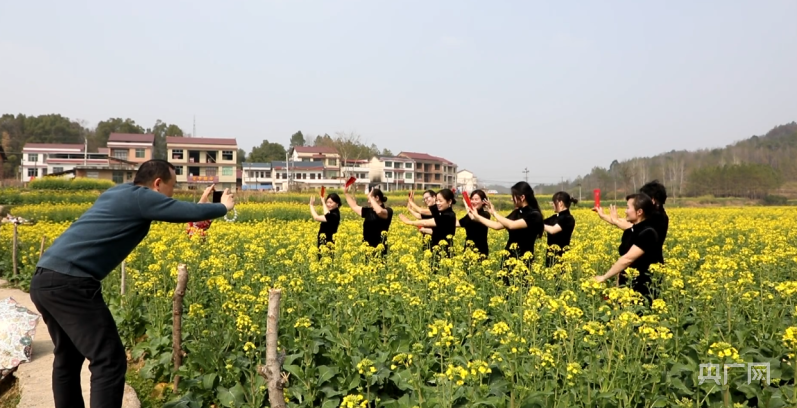 湖南新邵：油菜花开宛若流金