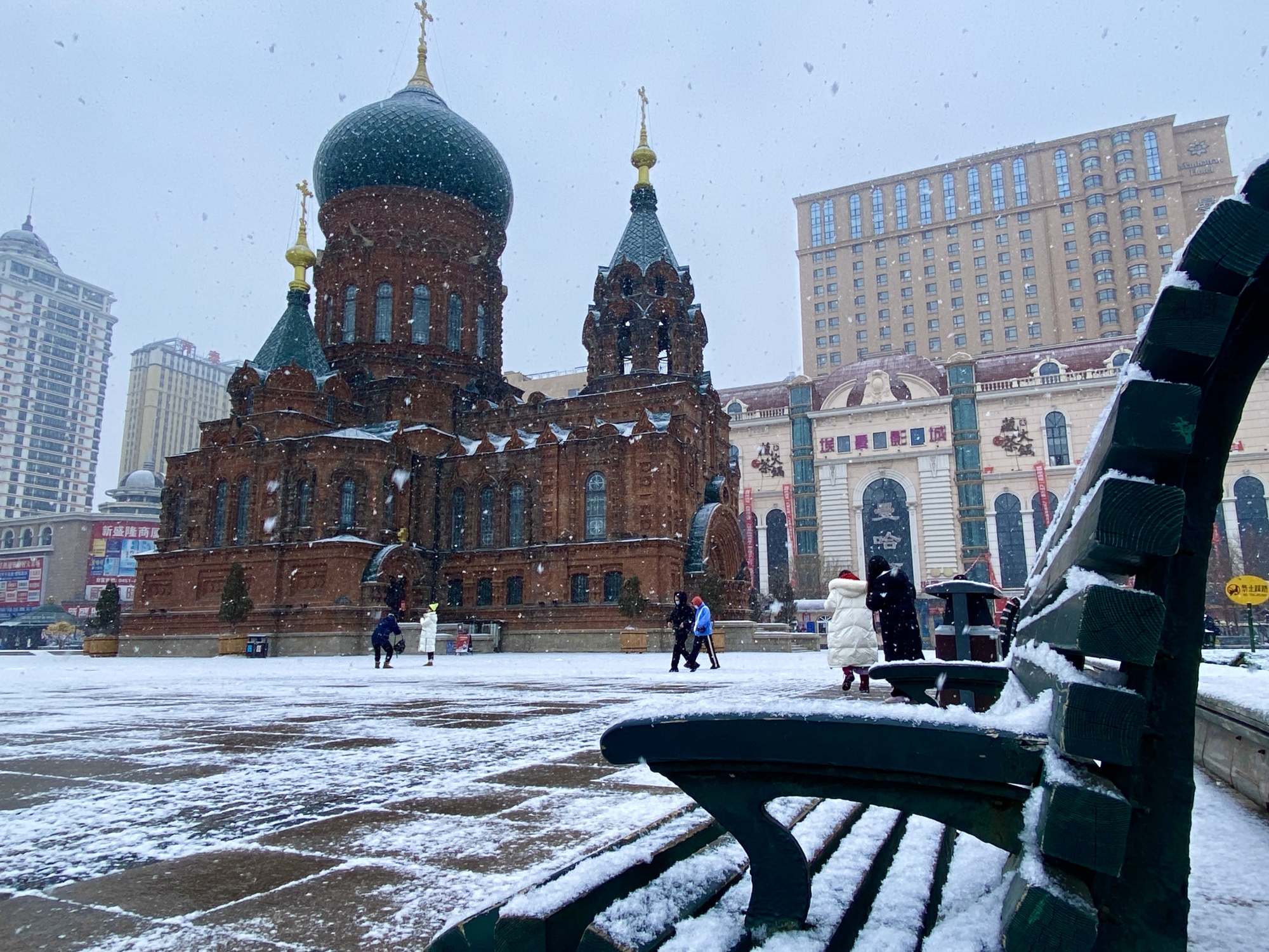 入春失败 哈尔滨3月第一天飘起鹅毛雪