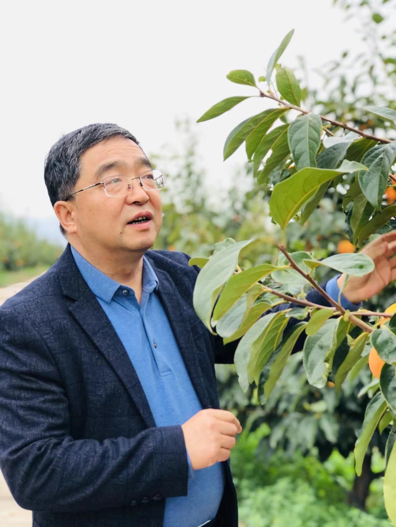 "近日,全国政协委员,陕西省林业局副局长,陕西省林业科学院院长