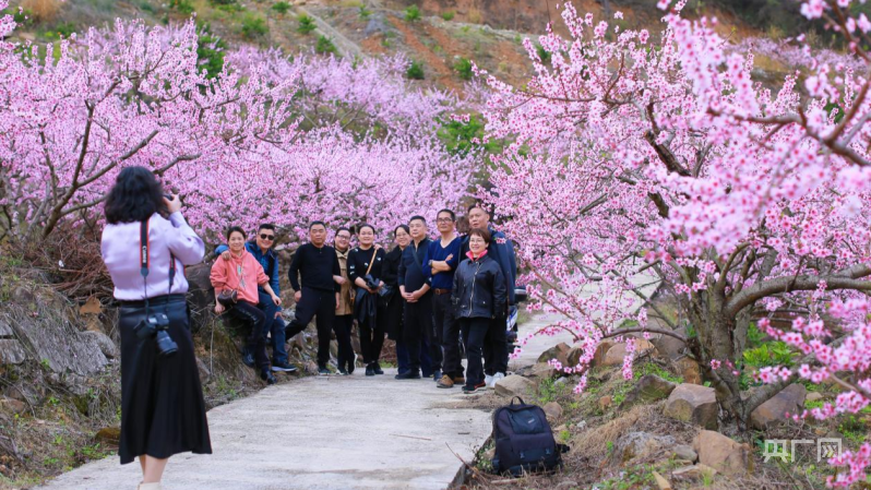 奉節桃花節暨消費幫扶季活動開幕_央廣網