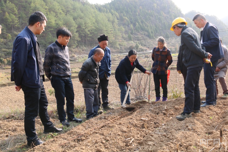 贵州独山：复合种植培训开到田间地头