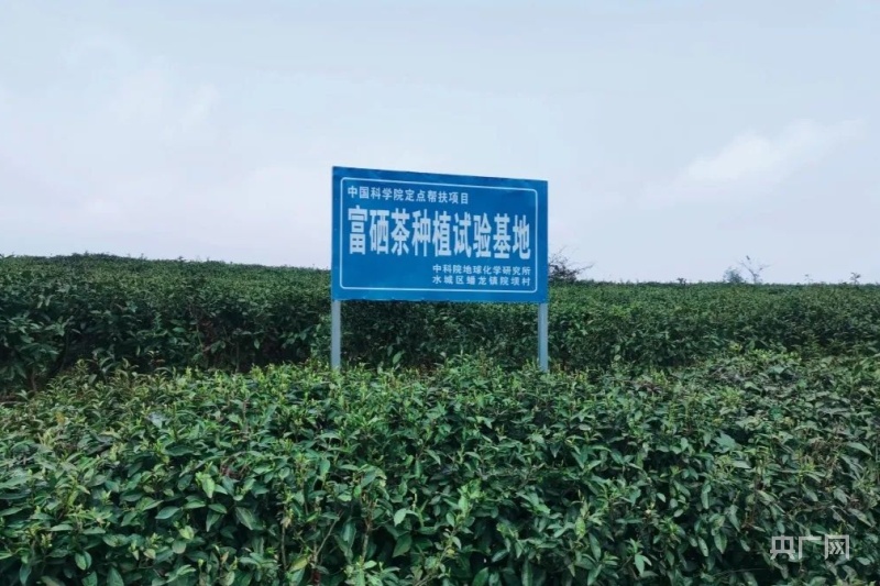 国家扶持农村致富项目贵州最新消息(国家扶持农村致富项目贵州最新消息新闻)