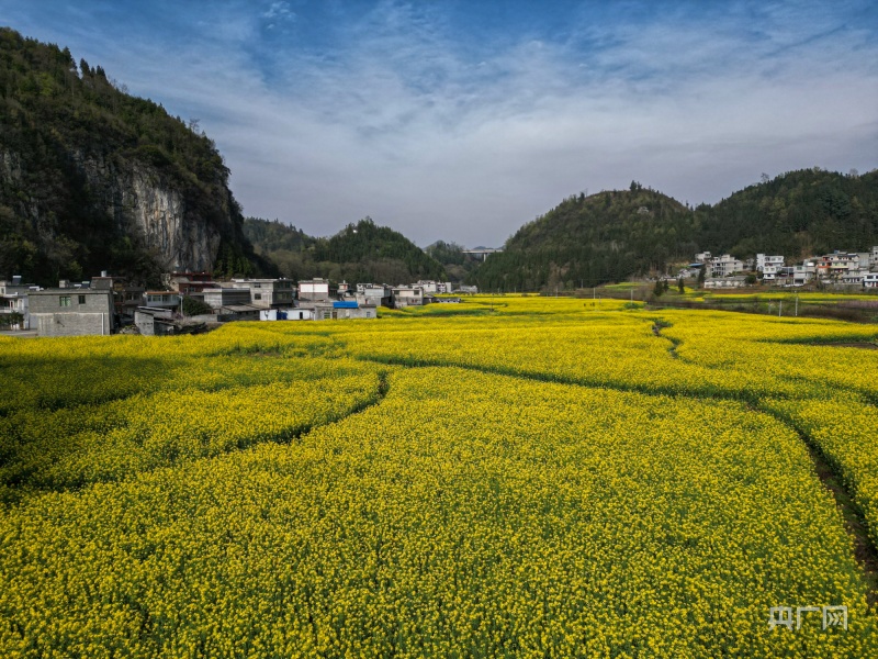 织金县风景名胜区图片