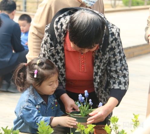 北京大兴区启动全民义务植树系列活动