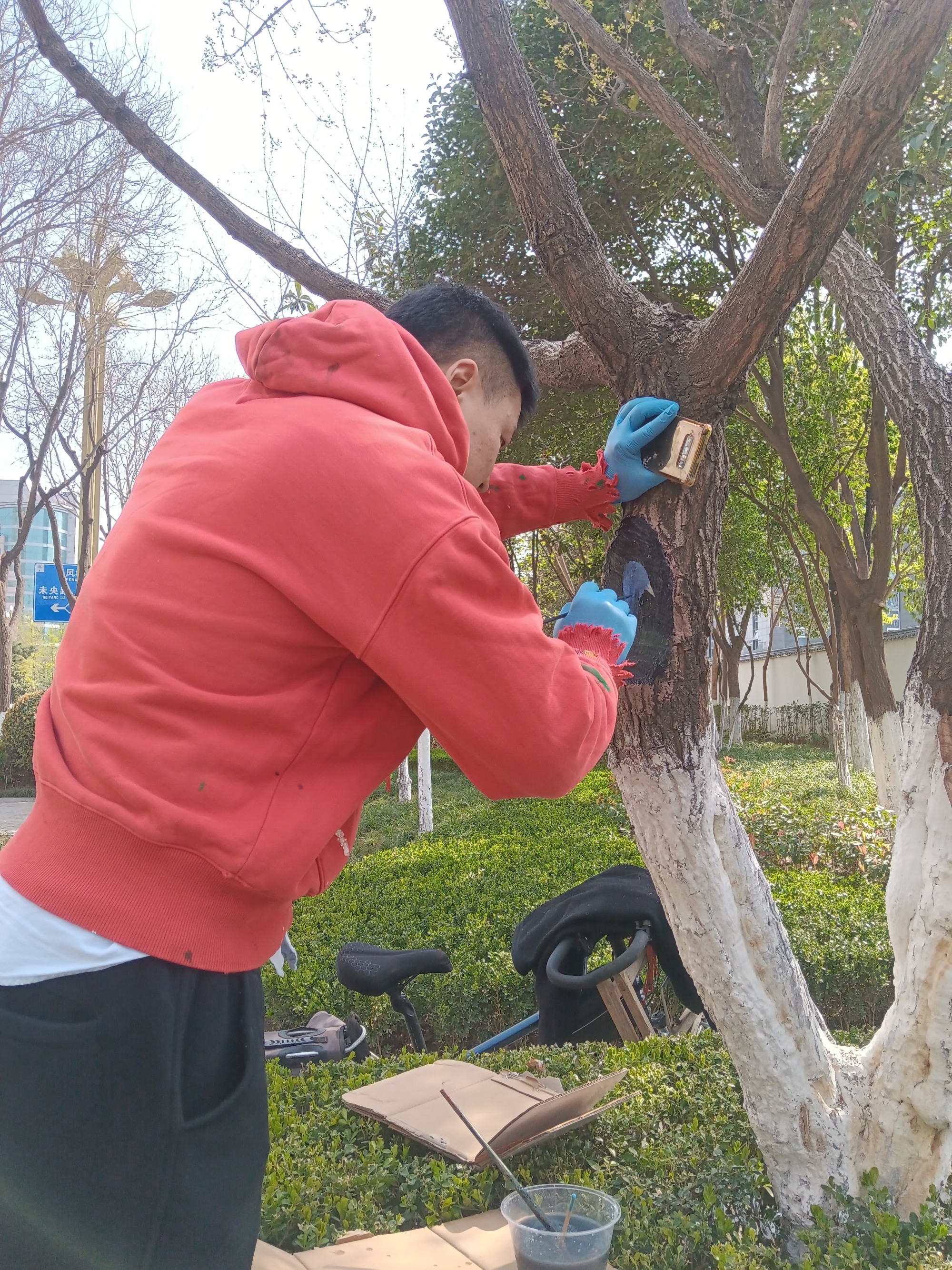 西安经开区：“树画”为城市增添一抹“萌趣”