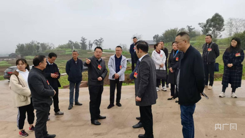 重庆璧山区大兴镇人大开展专项督查严防耕地非农化