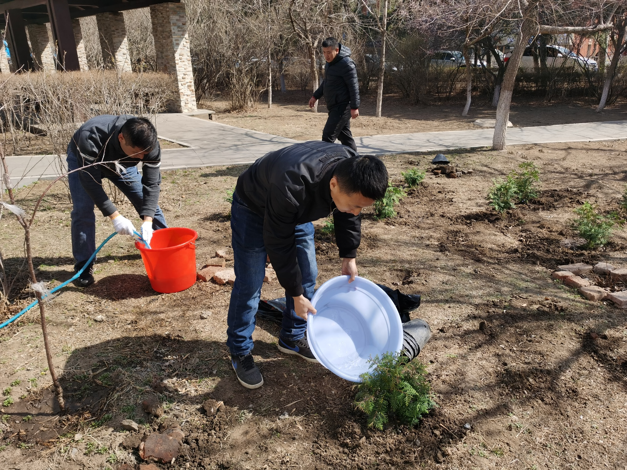 “植”此新绿 长春市各公园广完美电竞场栽苗植树忙(图3)