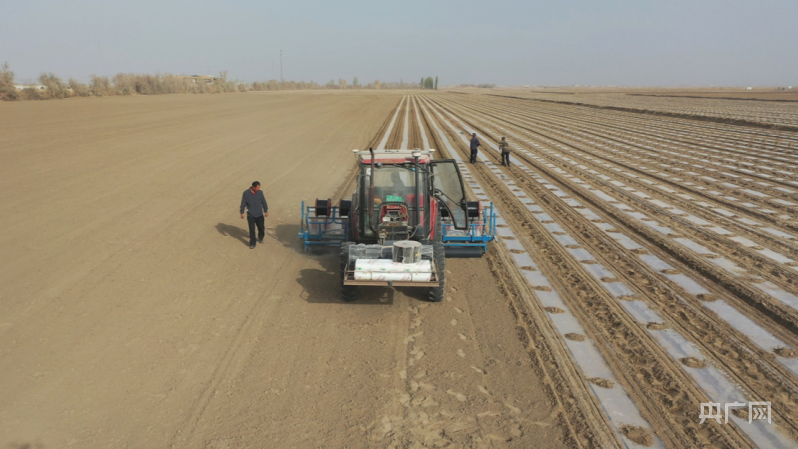 科技加持尉犁县100万亩棉田有序播种