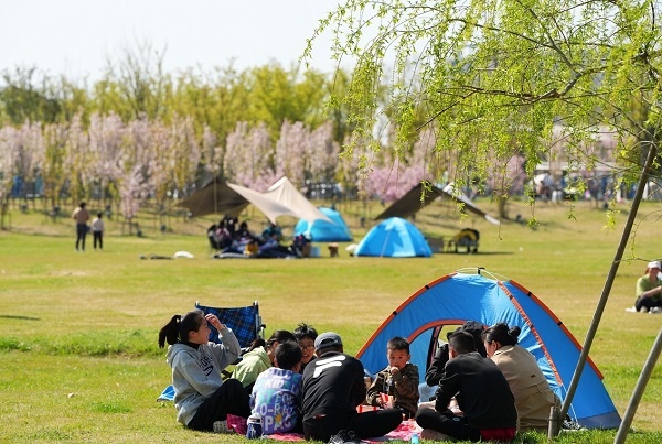 江苏盐城芳菲满城伴春俏