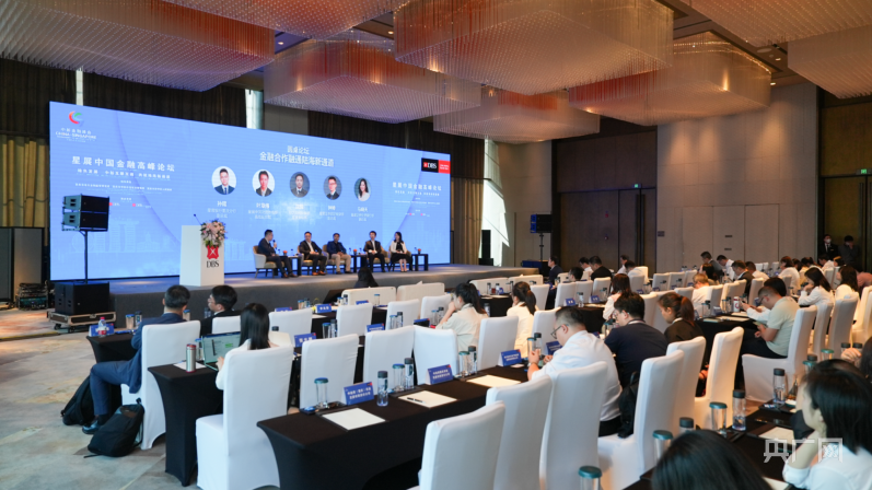 星展中国金融高峰论坛在重庆举行
