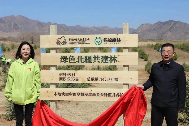 据内蒙古自治区林草局统计,2016年以来,蚂蚁集团通过"蚂蚁森林"公益