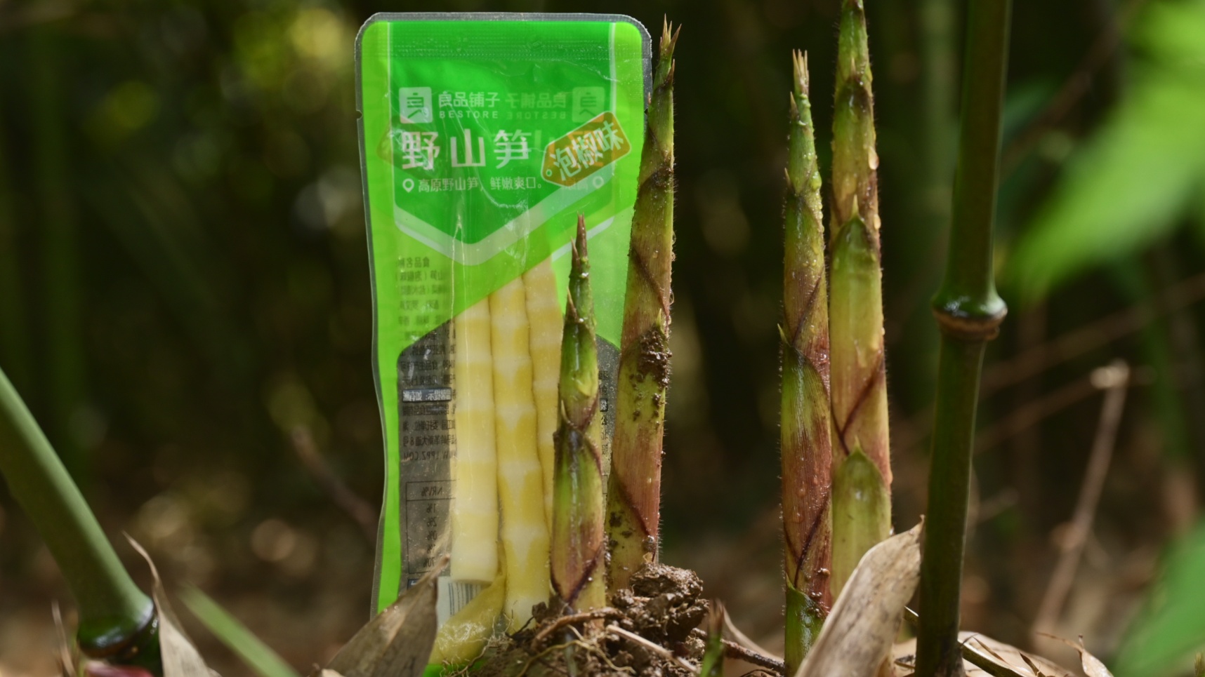 多方联手深耕产业链高质量，高端零食良品铺子云南野山笋（筇竹笋）原料基地揭牌_央广网