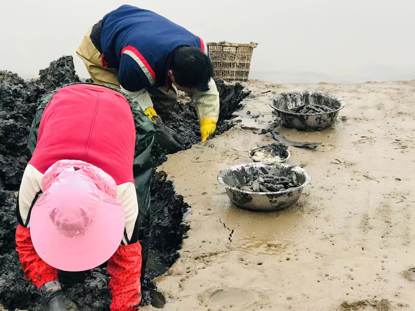 金融活水润泽美丽乡村——兴业银行宁波分行“共富e贷”助农纪实