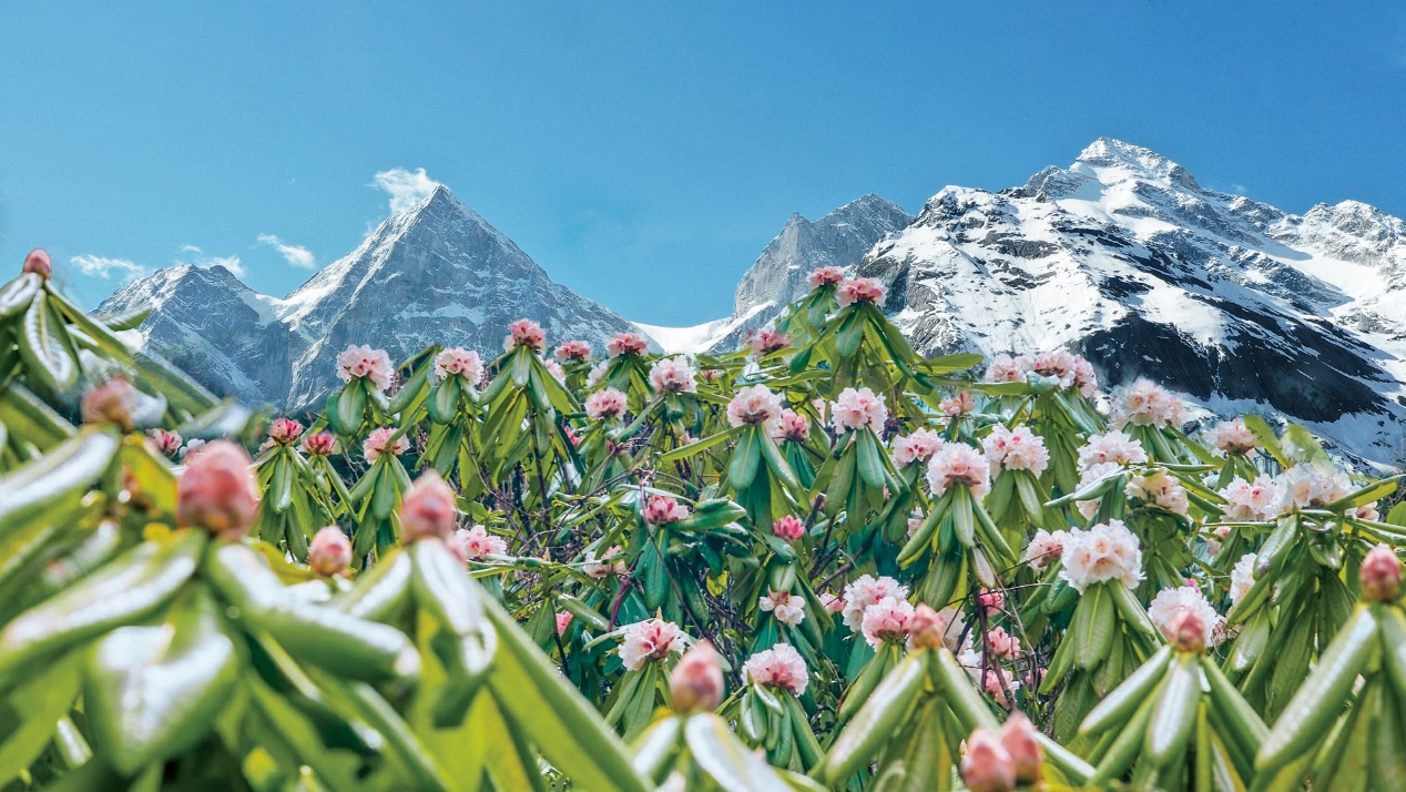 惠玩趣玩乐玩阿坝州理县推出五一文化大礼包