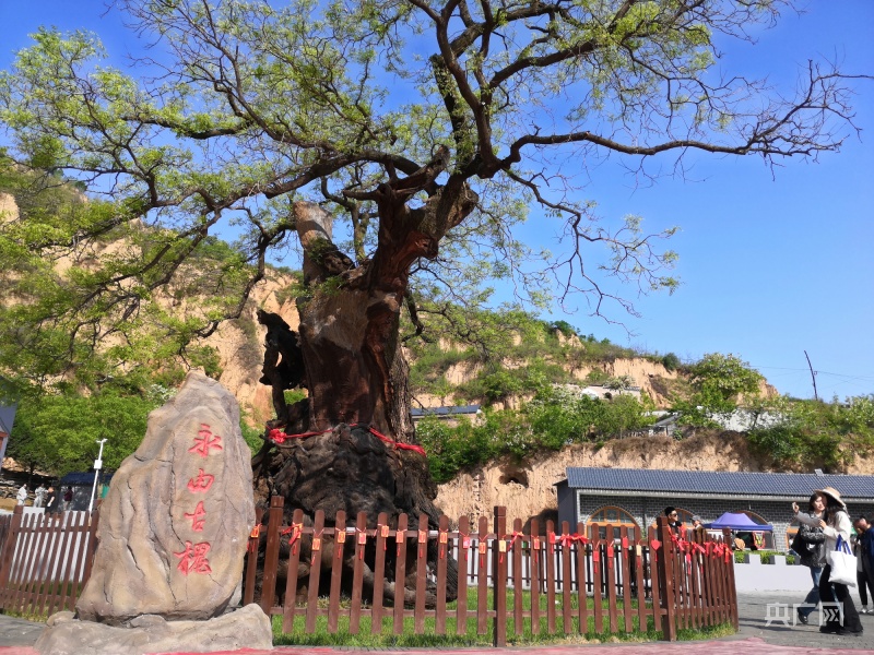 “卣吱吱”！吕梁石楼发布山西首个3D卡通文旅虚拟IP_央广网