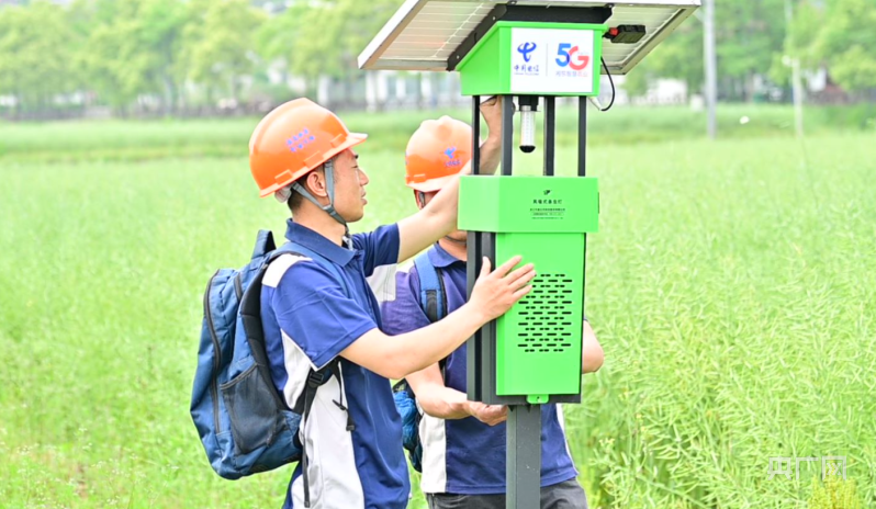 江西萍乡：5G大数据赋能 水稻种植更“智慧”