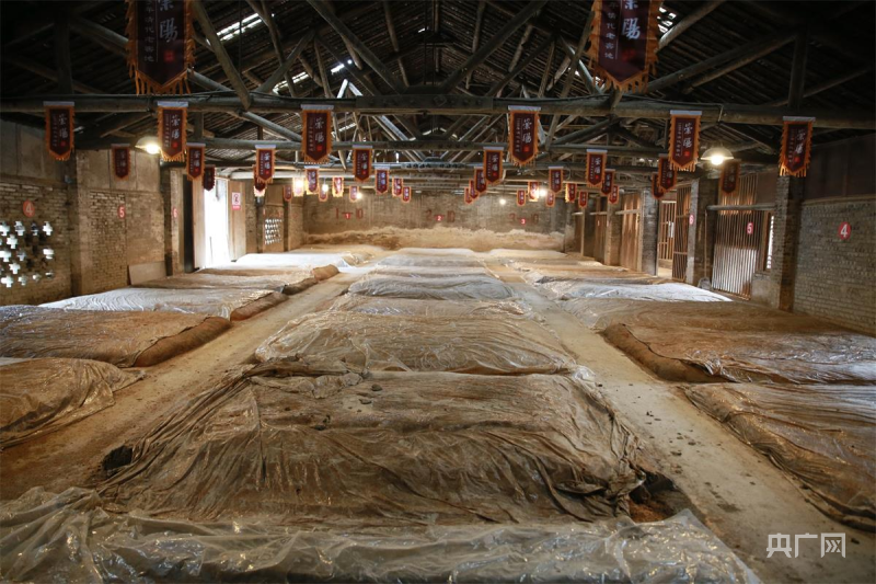 成都崇州：川西坝子现存137年古老活窖池群沿用至今