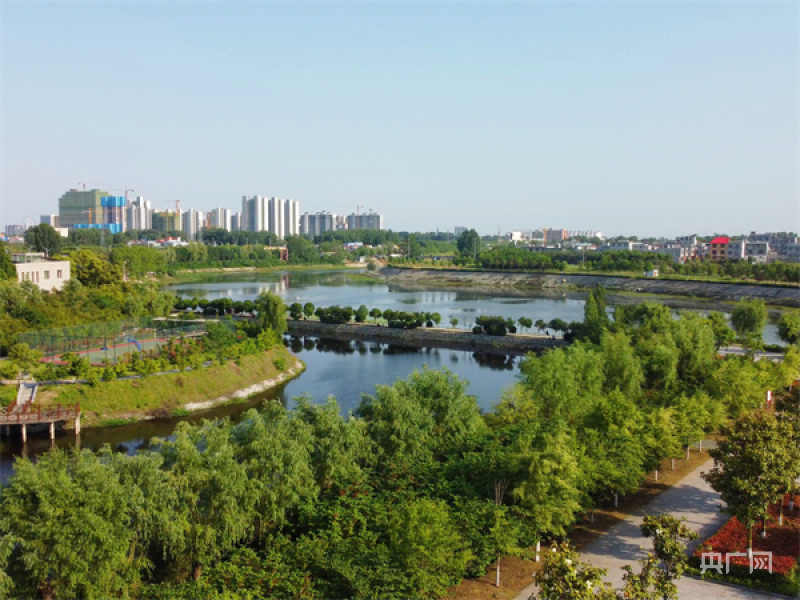 南阳镇平:初夏公园景怡人_央广网